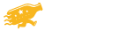Nocturne Services